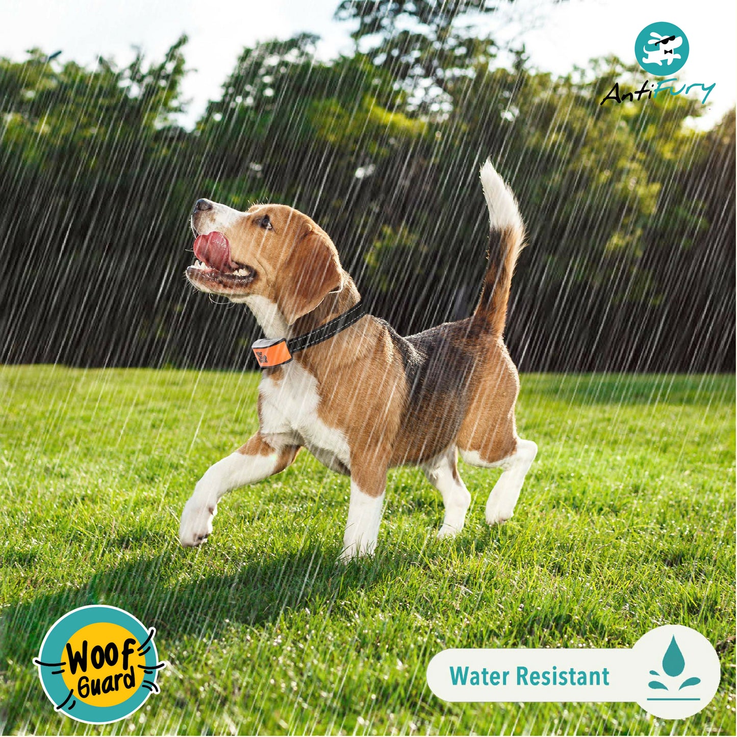 Woof Guard Anti Bark Collar
